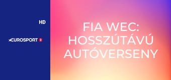 FIA WEC: Hosszútávú autóverseny Világbajnokság Austin 6h - Verseny