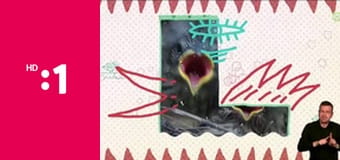 Mláďatá E12 - Sovie rodinky