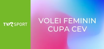 Volei Feminin Cupa CEV