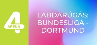 Labdarúgás: Bundesliga - Dortmund – Hamburg