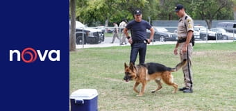 Kriminálka Las Vegas S14E5 - Okénko po okénku