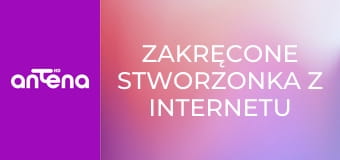 Zakręcone stworzonka z Internetu S2E11