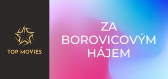 Za borovicovým hájem