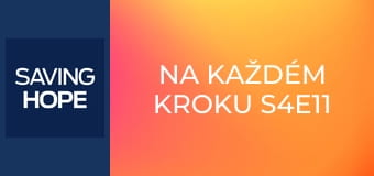 Na každém kroku S4E11