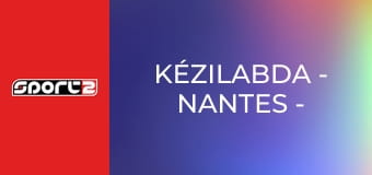 Kézilabda - Nantes - One Veszprém