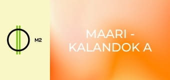 Maari - Kalandok a zátonyon - Potts szülinapi pástétoma