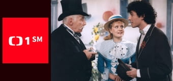 Co medvědi nevědí