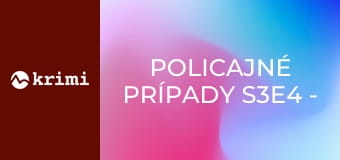 Policajné prípady S3E4 - Jazda načierno a falošná bankovka, Neodbytný hosť, Podnikavé dievča, Domáci tyran