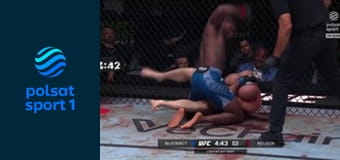 MMA: UFC Fight Night