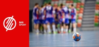 Női kézilabda világbajnokság - Németország – Izland csoportkör mérkőzés