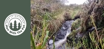 Хрупкаво цяло пиле с картофи и зеленчуци Хрупкаво цяло пиле с картофи и зеленчуци