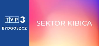 Sektor kibica