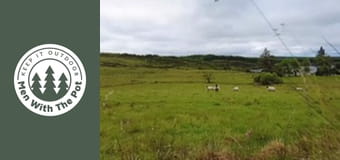 Super Crispy Chicken Sandwich with Forest-made Mayonnaise