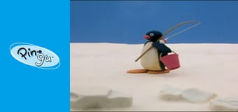 The Pingu Show Sezon 1 Odcinek 54