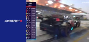 Vytrvalostné preteky