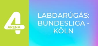 Labdarúgás: Bundesliga - Köln – Borussia Dortmund