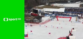 Alpské lyžování: SP mužů: Lillehammer