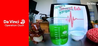 Ikerdokik bevetésen - Próbáld ki te is! - Bacteriile