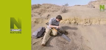 Kto prežil pád asteroidu (2)