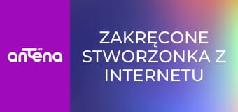 Zakręcone stworzonka z Internetu S1E1
