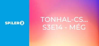 Tonhal-csaták S3E14 - Még két hét