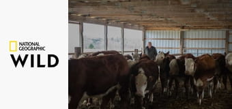 Niezwykły dr Pol S14E21 - Walka o zdrowie