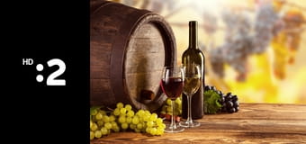 Vínne cesty Slovenska E1 - Medzibodrožie – Kráľovský Chlmec a Malý Horeš