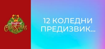 12 Коледни предизвикателства
