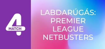 Labdarúgás: Premier League Netbusters