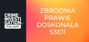 Zbrodnia prawie doskonała S3E11 - Farver