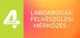 Labdarúgás: Felkészülési mérkőzés - Ciprus – Moldova