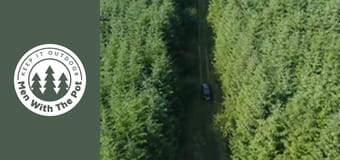 Зелена песто паста със сьомга