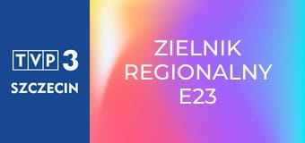 Zielnik regionalny E23