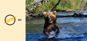 Expedíciók Steve Backshall-lel - Kamcsatka – Grizzly folyó Expedíciók Steve Backshall-lel - Kamcsatka – Grizzly folyó