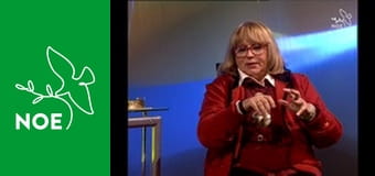 Noční repríza dopoledních pořadů