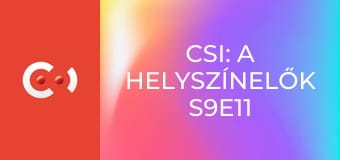 CSI: A helyszínelők S9E11 - Éjszakai műszak
