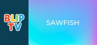 Sawfish Sawfish