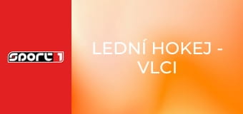 Lední hokej - Vlci Žilina - HK Nitra