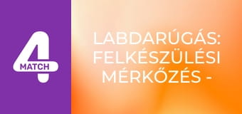 Labdarúgás: Felkészülési mérkőzés - Görögország – Paraguay