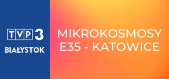 Mikrokosmosy E35 - Katowice Rawa