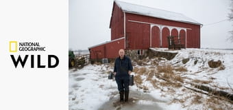 Niezwykły dr Pol S5E3 - Szczenięca miłość