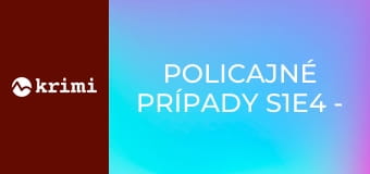 Policajné prípady S1E4 - Kleptomanka, Bezprízorné dieťa, Útek z miesta nehody