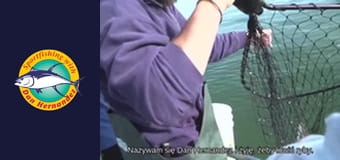 New Huck Finn, part 1