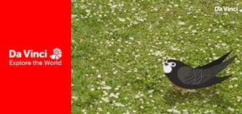 Mily Miss Questions - Flying Away Mily Miss Questions - Flying Away