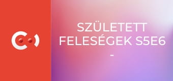 Született feleségek S5E6 - Keresd a nőt!