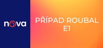 Případ Roubal E1 Případ Roubal E1