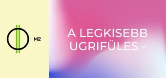 A legkisebb ugrifüles - Földalatti lakosztály