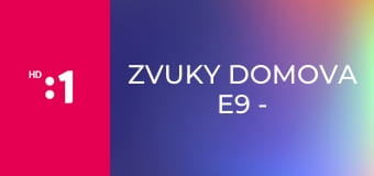 Zvuky domova E9 - Skalica