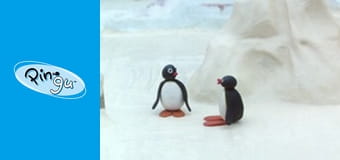 Pingu Sezon 3 Odcinek 14