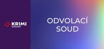 Odvolací soud